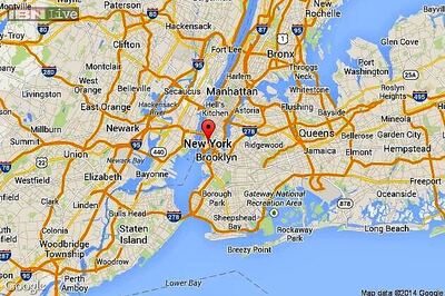 US man bitten while moving giant alligator off the road