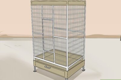 How to Hand Train a Parakeet