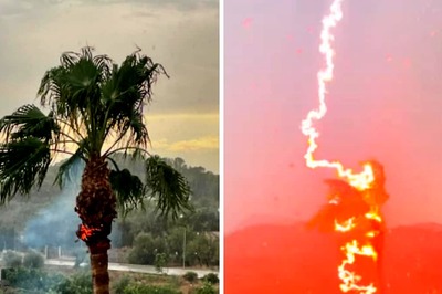 'Scary And Amazing': Viral Video Shows The Moment Lightning Struck A Palm Tree And It Caught Fire