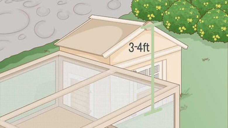 How to Keep Chickens in a City