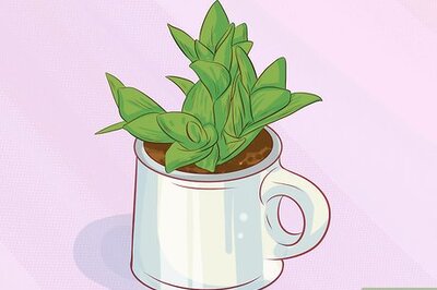 How to Recycle Old Coffee Mugs