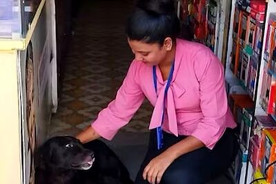 Stray Dog Menace Serious Issue, Needs to Be Addressed with Urgency: HC