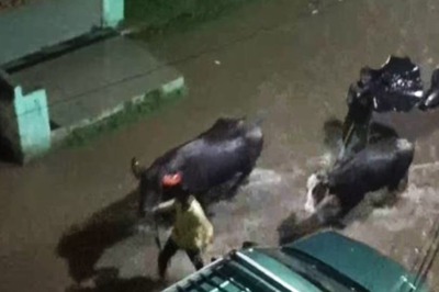 Maha: 74 Roads, 33 Small Bridges Damaged in Raigad's Mahad Due to July Downpour, Flooding