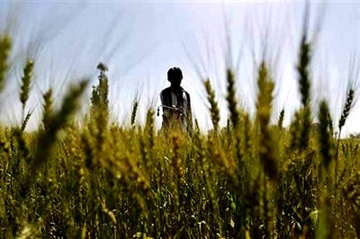 Government may back off fertiliser subsidy reform in Budget 2015