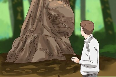 How to Find Burl Wood