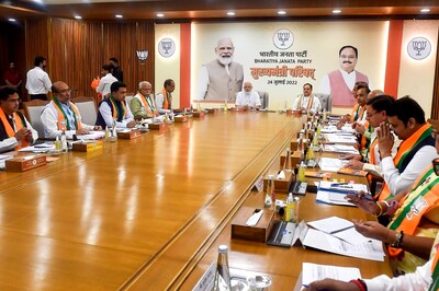 BJP Plans Silent March With Tricolour on August 14 to Remember Horrors of Partition