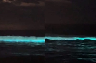 Watch: Chennai Beach Dazzles With Rare Bioluminescent Waves