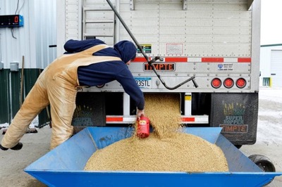 China Deploys Soybeans in Trade War, But May Hit Own Foot
