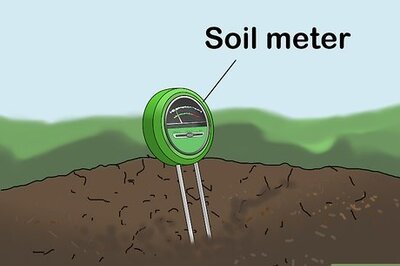 How to Buy Organic Dry Fertilizers