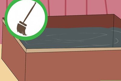 How to Take Care of a Horse in Hot Weather