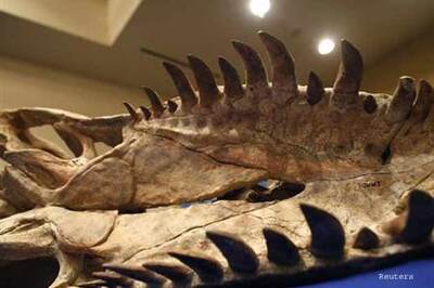 US returning trove of dinosaur fossils to Mongolia