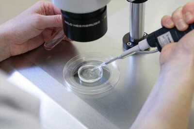 Scientists Create Human Sperm From Skin Cells