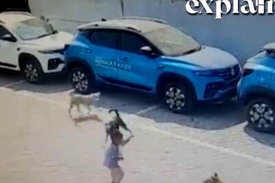 4-year-old Boy Mauled to Death by Stray Dogs: What Makes Canines Attack Humans? Explained