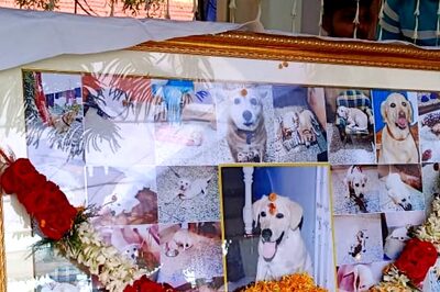 Odisha Family Pays Tribute to Pet Dog After Death, Performs All Rituals
