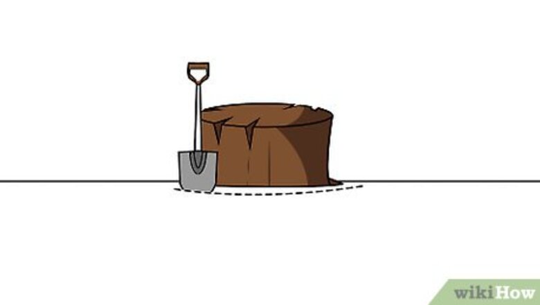How to Remove Tree Stumps
