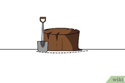 How to Remove Tree Stumps