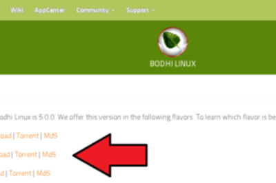 How to Install Bodhi Linux
