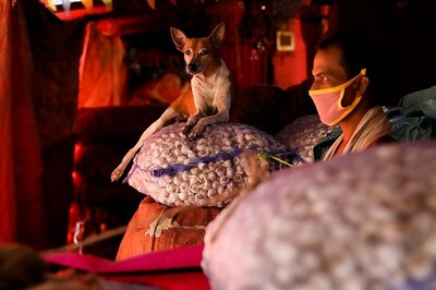 West Bengal Becomes 7th State to Cross 1L Covid-19 Cases, Positivity Rate on the Rise