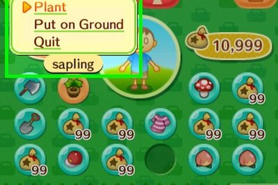How to Grow Mushrooms in Animal Crossing: New Leaf