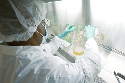 Amount of Virus Detected at Hospital Admission Predicts Covid-19 Patient Outcome: Study