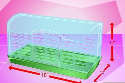 How to Make Your Hamster Live Longer