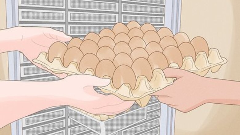 How to Hatch Chicken Eggs