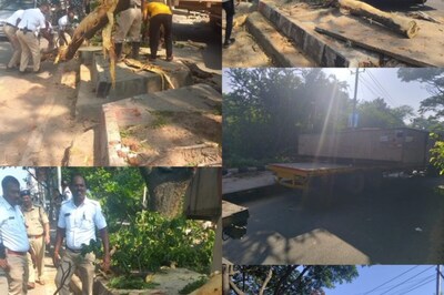 Traffic In Bengaluru's Busy Tech Corridor Comes To A Halt After Tree Falls, Pics Go Viral