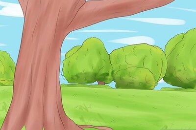 How to Build an Outdoor Fort