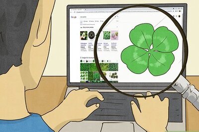 How to Find a Four Leaf Clover