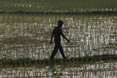 India's annual farm output down, fears of drought in 2015