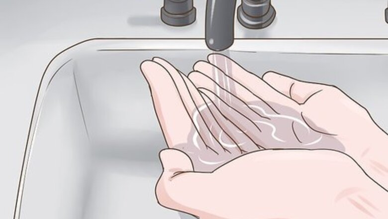 How to Prevent an Ascaris Infection