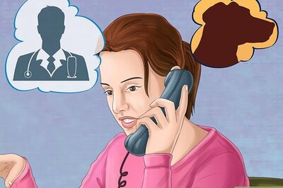 How to Keep Your Dog and Other Dogs Safe at the Vet