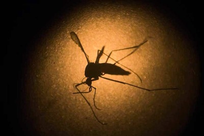 13 Indians in Singapore Test Positive for Zika Virus
