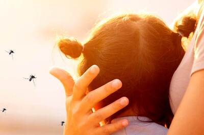 World Mosquito Day 2021: All You Need to Know About 5 Mosquito-borne Diseases