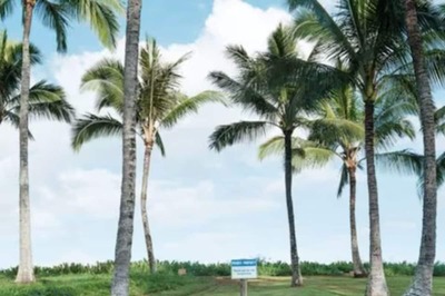 Meta CEO Mark Zuckerberg’s Rs 2240 Crore Hawaiian Hideaway Is Worth The Attention