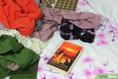 How to Make a Pet Photography Studio Using Your Bed