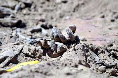 Scientists in Mexico Uncover 10 More Bodies, Skeletons from Mass Grave in Sonora
