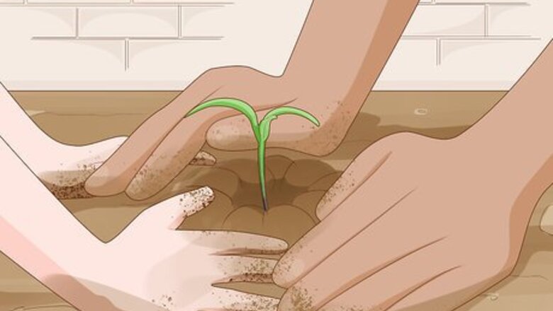 How to Plant a Child Friendly Garden