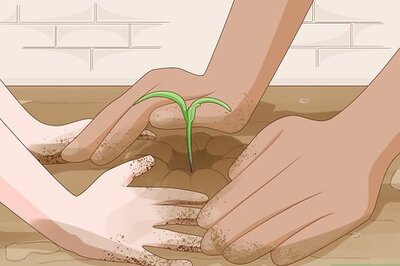 How to Plant a Child Friendly Garden