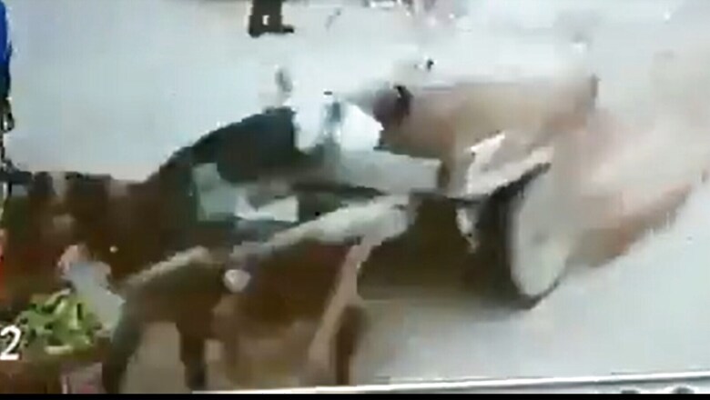 WATCH: Donkey Saved By an Unusual Seat Belt In a Car Accident