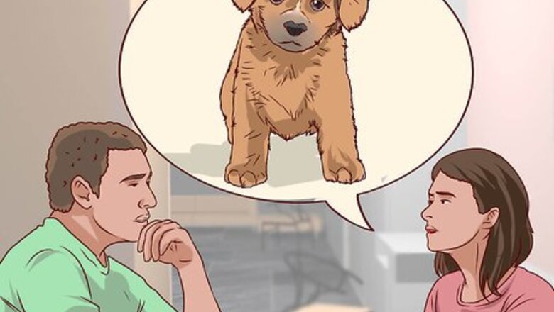 How to Be an Animal Rights Activist