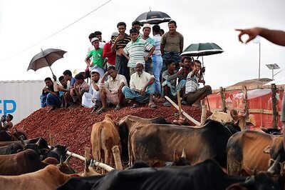 Bangladesh Arrests 10 Rohingya Refugees Bound for Malaysia
