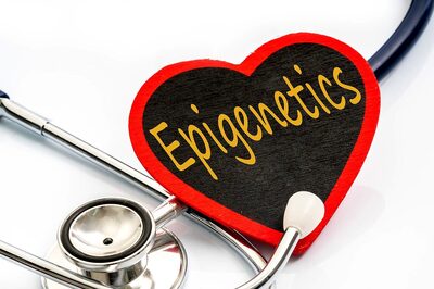 Personalized Approach to Health and Wellness through Epigenetic Modifications