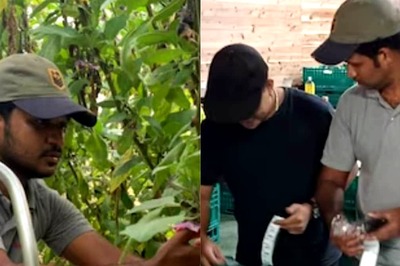 Infosys Engineer Quits Job to Become Brinjal Farmer in Japan, Earns Double the Income