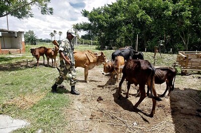 FIR Against BSF by Meghalaya Villagers for 'Fake Encounter'