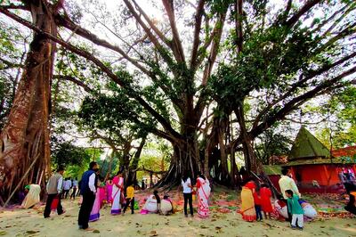 Assam Floods Ravage 207-year-old Banyan Tree, Erosion in Kaldia River Poses New Threat