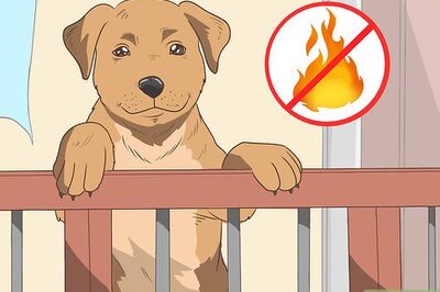 How to Prevent Your Pets from Accidentally Starting a House Fire