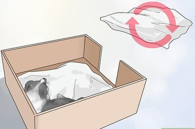 How to Manage Postpartum Shedding in Dogs