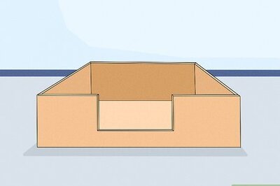 How to Care for Newborn Puppies