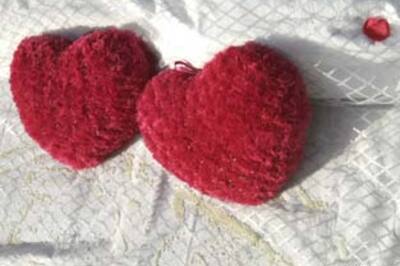 Romantic professor to contest LS polls to promote love